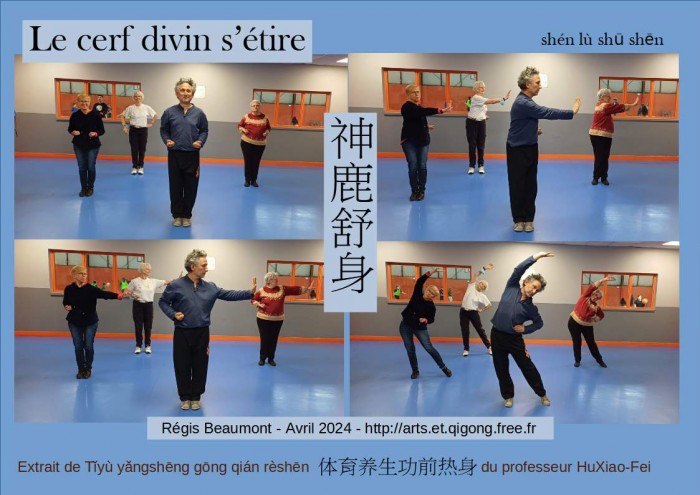carte cerf divin